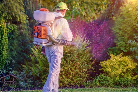 Bahçe İlaçlama Bahçe İlaçlama