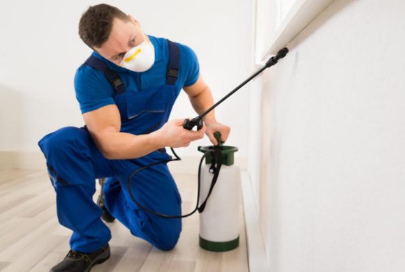 Ev İlaçlama Ev İlaçlama