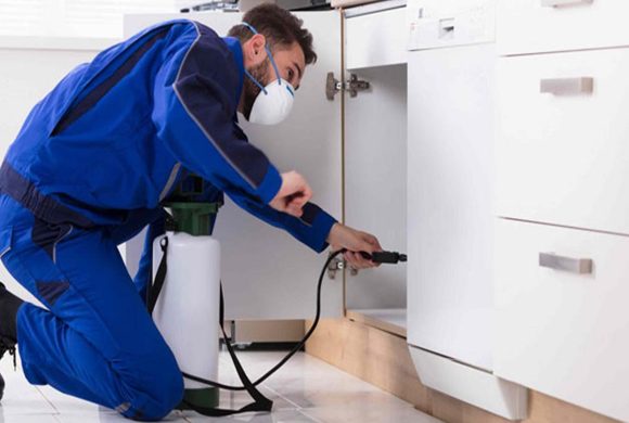 Haşere İlaçlama Haşere İlaçlama