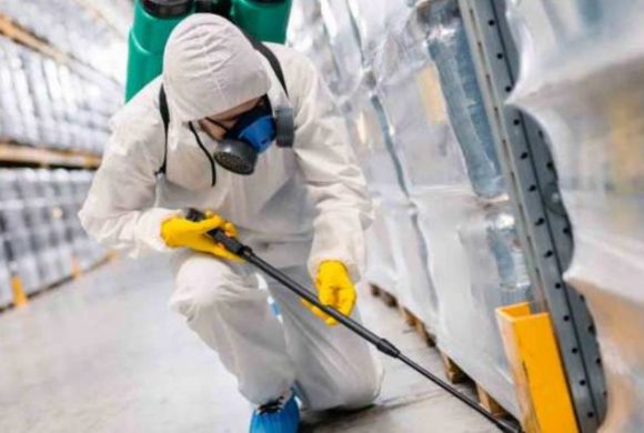 Haşereler ile Etkili Mücadele Yöntemleri Haşereler ile Etkili Mücadele Yöntemleri