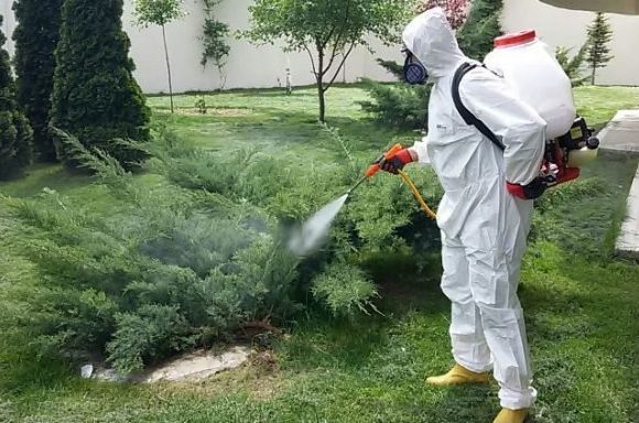 İstanbul İlaçlama İstanbul İlaçlama