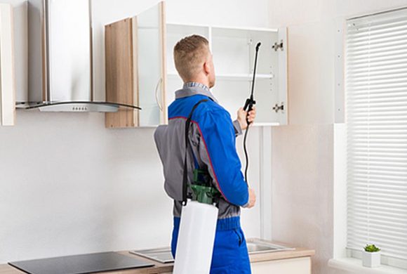 İş Yeri İlaçlama İş Yeri İlaçlama