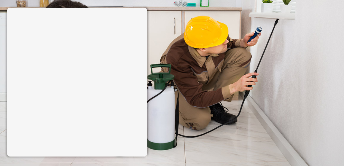 bocek-ilaclama-slider