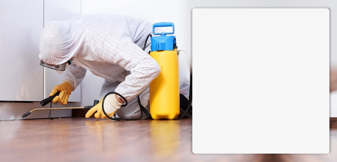 ilaclama-bocek-ve-hasere-slider