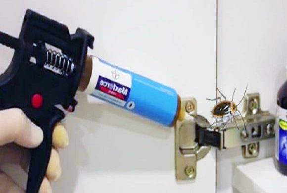 Jel İlaçlama Jel İlaçlama