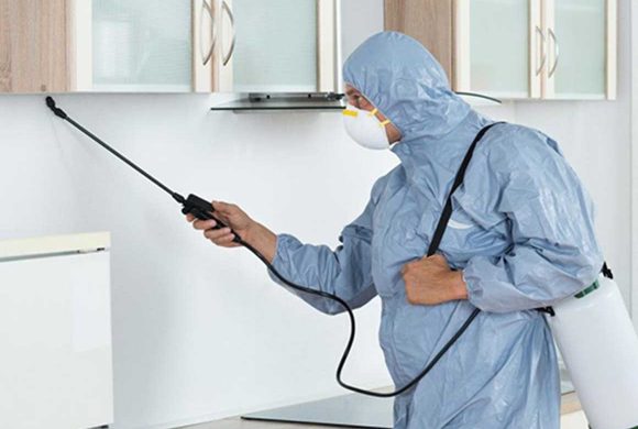 Kokusuz İlaçlama Kokusuz İlaçlama